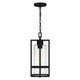 Quoizel Damien One Light Outdoor Hanging Lantern in Earth Black - DMN1907EK