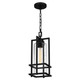 Quoizel Damien One Light Outdoor Hanging Lantern in Earth Black - DMN1907EK