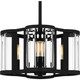 Quoizel Quoizel Pendant Four Light Pendant in Matte Black - QP6193MBK