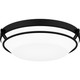 Quoizel Dunbar LED Flush Mount in Matte Black - DNB1616MBK Quoizel Dunbar LED Flush Mount in Matte Black - DNB1616MBK