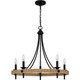 Quoizel Catania Five Light Chandelier in Matte Black - CNI5026MBK Quoizel Catania Five Light Chandelier in Matte Black - CNI5026MBK