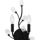 Quoizel Heiress Two Light Wall Sconce in Matte Black - HEI8709MBK