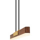 Quoizel Colter LED Linear Chandelier in Brushed Gold - PCCOT148BRG