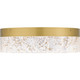Quoizel Quoizel Flush Mount LED Flush Mount in Brushed Gold - QFL6763BRG