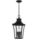 Quoizel Quentin Four Light Outdoor Hanging Lantern in Earth Black - QTN1910EK