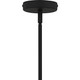 Quoizel Salvador Nine Light Chandelier in Earth Black - PCSVD5034EK Quoizel Salvador Nine Light Chandelier in Earth Black - PCSVD5034EK