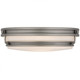 Quoizel Quoizel Flush Mount Three Light Flush Mount in Antique Nickel - QFL6776AN