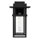 Quoizel Morgan One Light Outdoor Wall Lantern in Earth Black - MORG8408EK