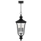 Quoizel Farley Three Light Outdoor Hanging Lantern in Matte Black - FARL1910MBK