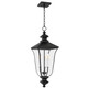 Quoizel Farley Three Light Outdoor Hanging Lantern in Matte Black - FARL1910MBK