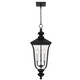Quoizel Farley Three Light Outdoor Hanging Lantern in Matte Black - FARL1910MBK