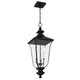 Quoizel Farley Three Light Outdoor Hanging Lantern in Matte Black - FARL1910MBK