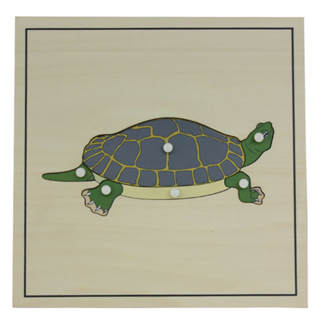 Turtle Skeleton Puzzle