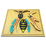 Wasp Puzzle