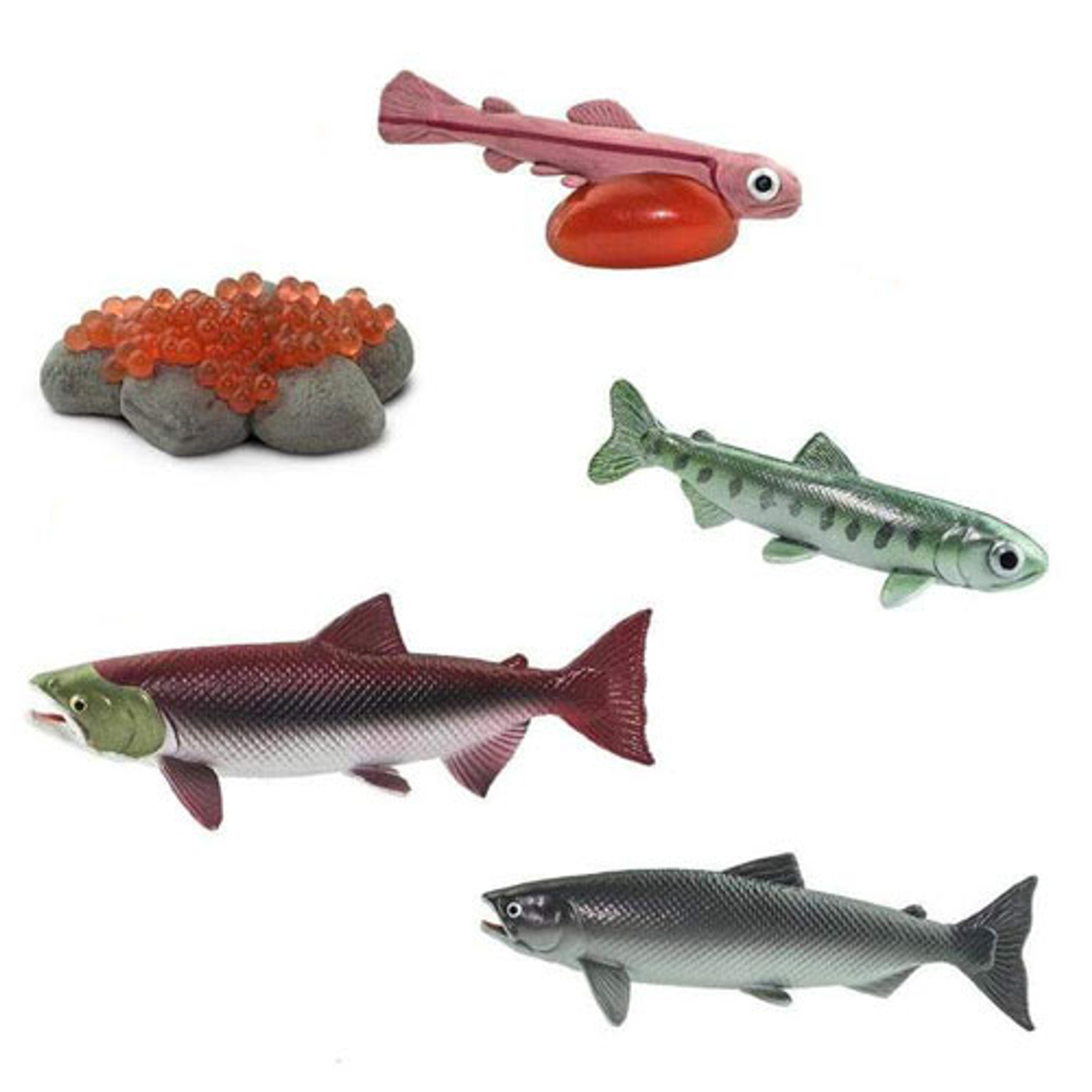 plastic salmon toy