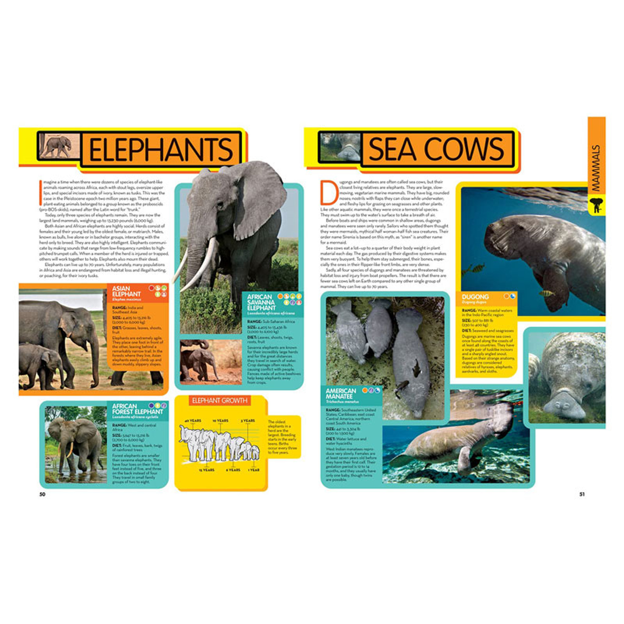 National Geographic Kids Animal Encyclopedia | Thinkamajigs