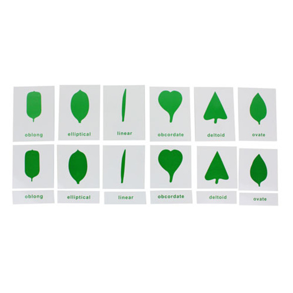 Leaf Shapes Nomenclature 3-Part Cards