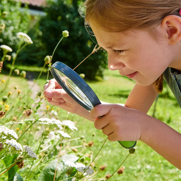 Magnifying Glass