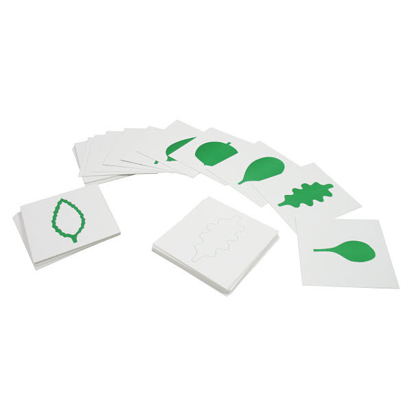 leafページ Leaf Cards Montessori materials | Thinkamajigs