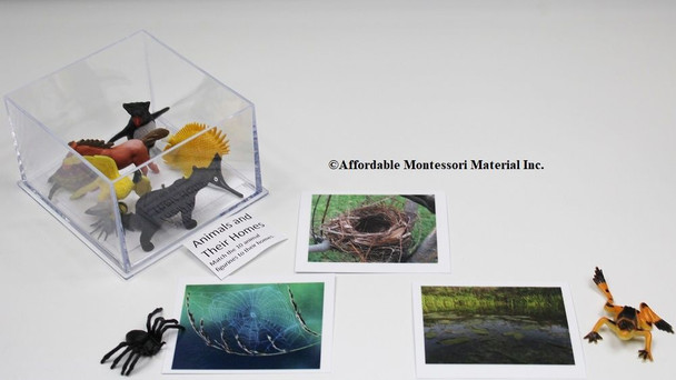 Animals and Their Homes