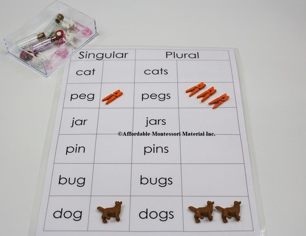 Singular and Plural Classification