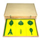 Botany Leaf Cabinet 24 Insects