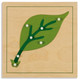 Leaf Puzzle
