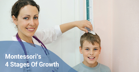 4 stages of child development