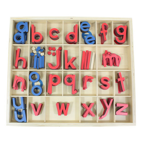 Small Movable Alphabet Montessori materials | Thinkamajigs