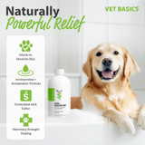 Vet Basics® Lime Sulfur Dip