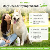 Vet Basics® Lime Sulfur Dip