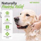 Vet Basics® Lime Sulfur Dip