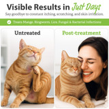 Vet Basics® Lime Sulfur Dip