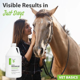 Vet Basics® Lime Sulfur Dip