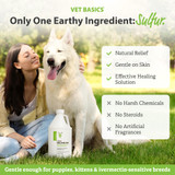 Vet Basics® Lime Sulfur Dip