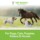 Vet Basics® Lime Sulfur Dip