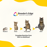 Breeder's Edge® Foster Care™ Feline Milk Replacer