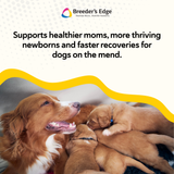 Breeder's Edge® Foster Care™ Canine Milk Replacer
