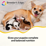 Breeder's Edge® Foster Care™ Canine Milk Replacer
