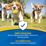 Doc Roy's® GI Synbiotics™