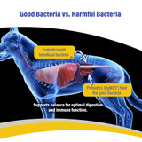 Doc Roy's® GI Synbiotics™