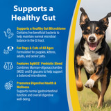 Doc Roy's® GI Synbiotics™