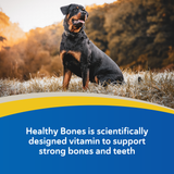 Doc Roy's® Healthy Bones - Bone Health Vitamins for Dogs & Cats