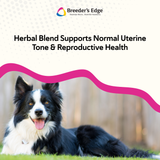 Breeder's Edge® Oxy Mate® Prenatal