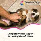 Breeder's Edge® Oxy Mate® Prenatal
