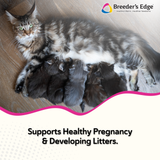 Breeder's Edge® Oxy Mate® Prenatal