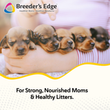 Breeder's Edge® Nurture Mate™ for Puppies & Kittens