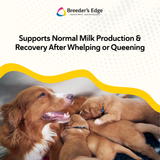 Breeder's Edge® Nurture Mate™ for Puppies & Kittens