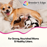 Breeder's Edge® Oxy Momma®