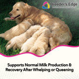 Breeder's Edge® Oxy Momma®